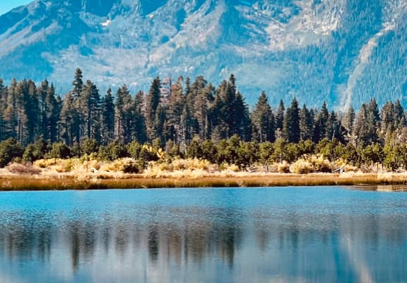 Nice blue lake with a forest of pine trees and a mountain as a backdrop